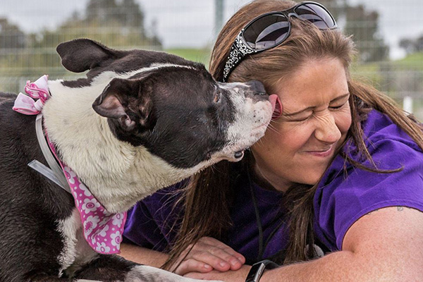 dog licking a woman's face