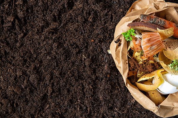 Compost material and soil