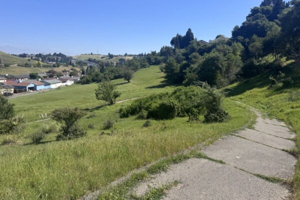 Hill at Sarah Drive Park