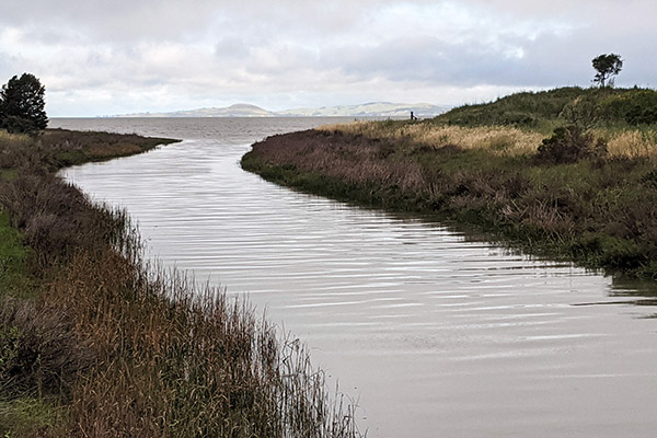 Water conservation site with view of mountains on the horizon.