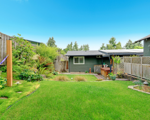 Image of a backyard.