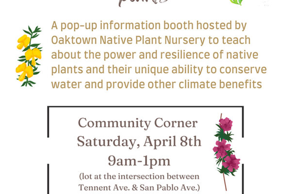 Native plant workshop and amp, plant sale