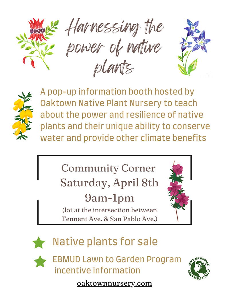 Native plant workshop and amp, plant sale