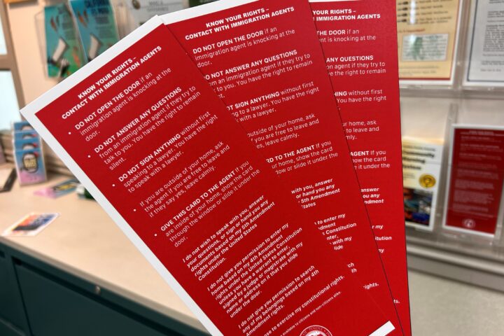 Know Your Rights red cards at City Hall
