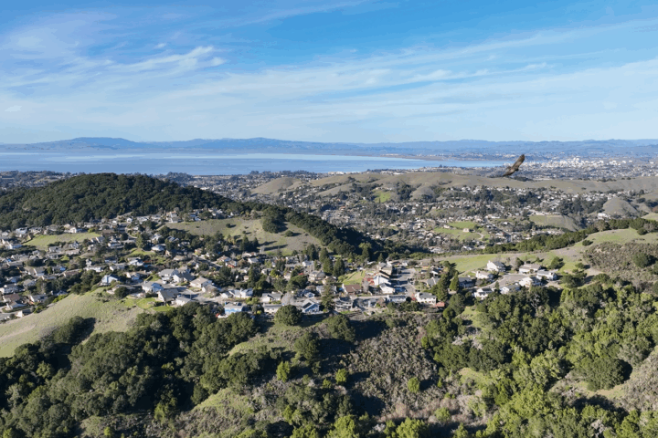 birds eye view of Pinole Valley rolling hills