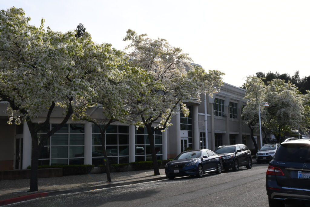 City Hall council chambers outside