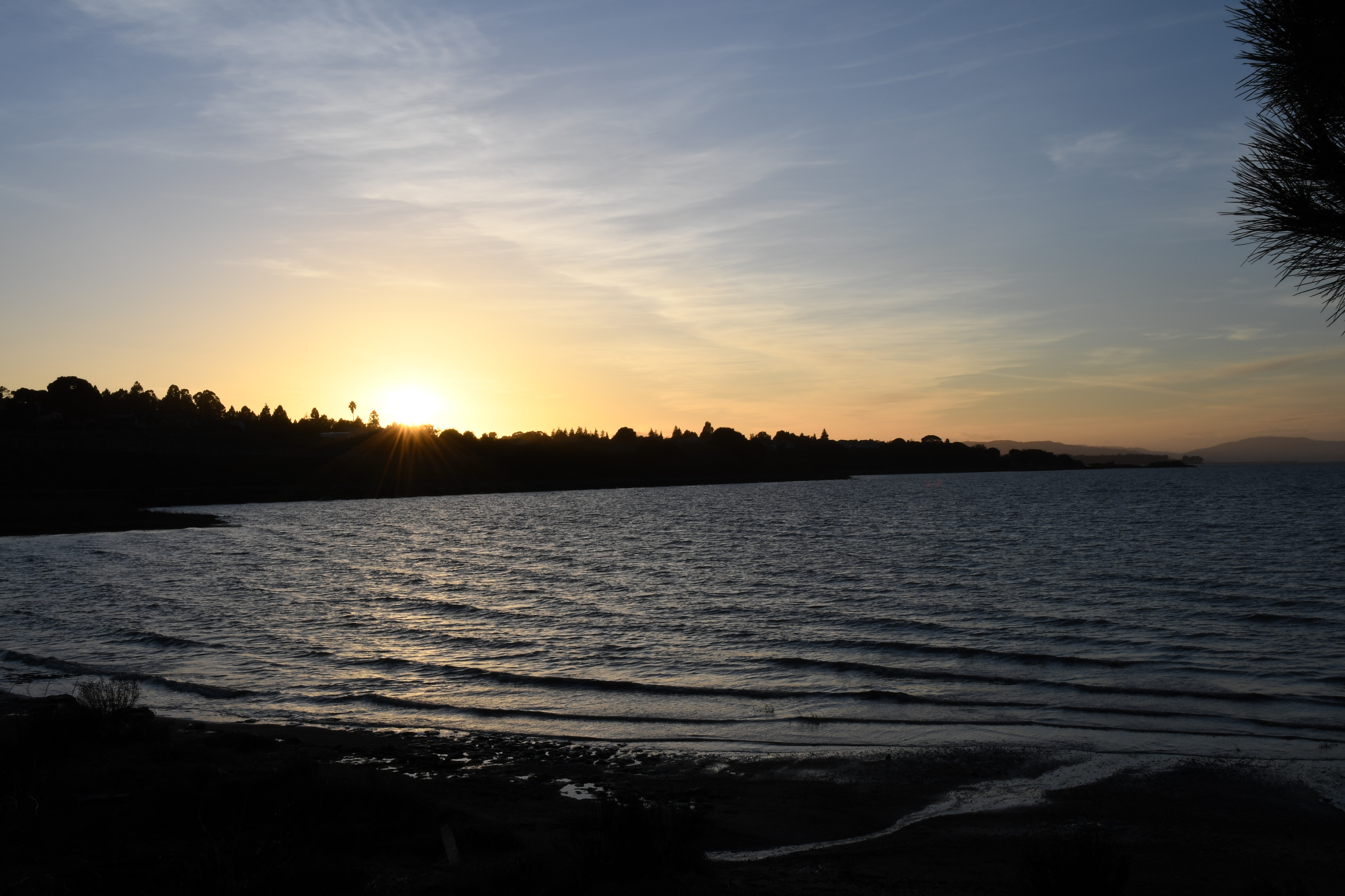 Bayfront Park sunset and water
